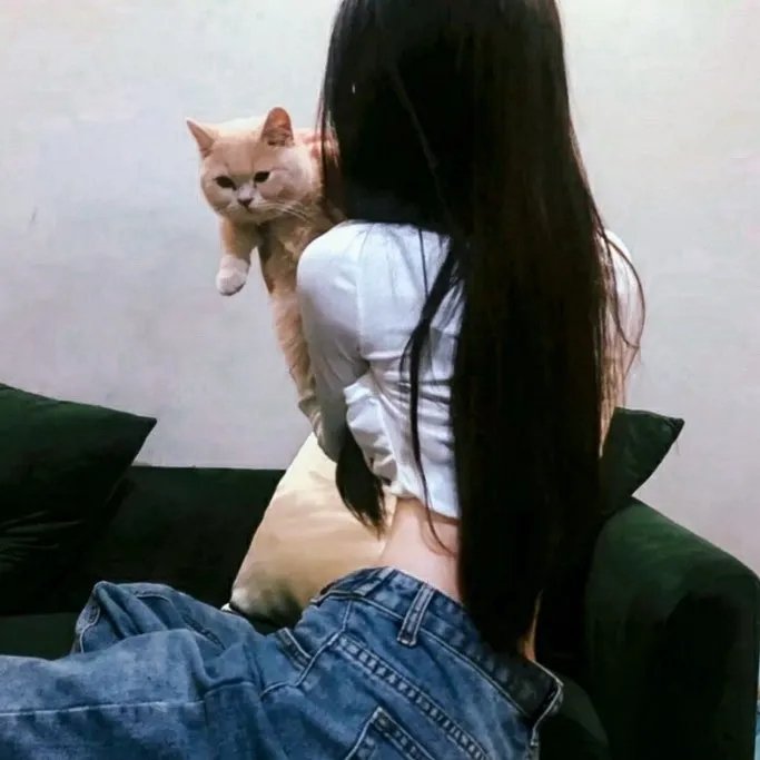 小宝与康熙